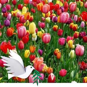 Meet your Posher, Lynn